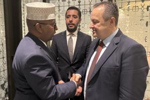 Србија и Сомалија спремне да интензивирају сарадњу