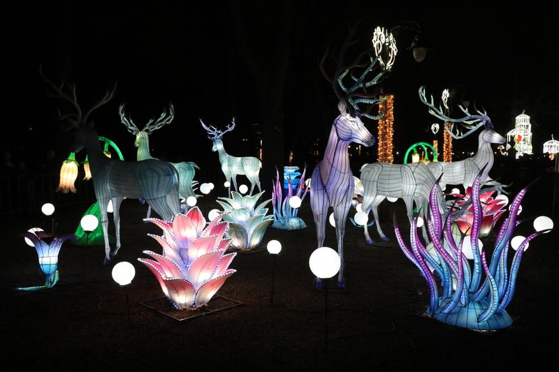 Chinese Festival of Light opened at Kalemegdan