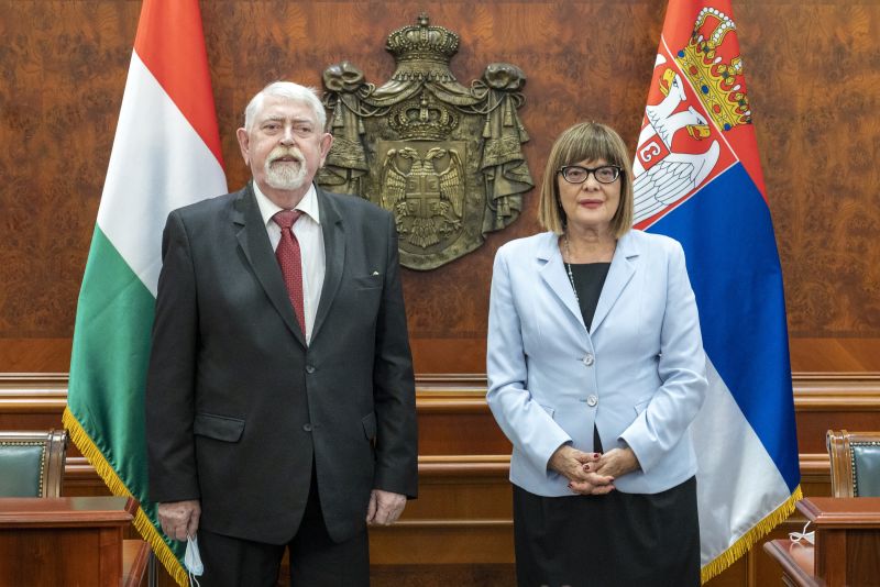 Close cultural cooperation priority in relations with Hungary