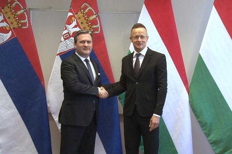 Close cooperation between Serbia and Hungary in all fields