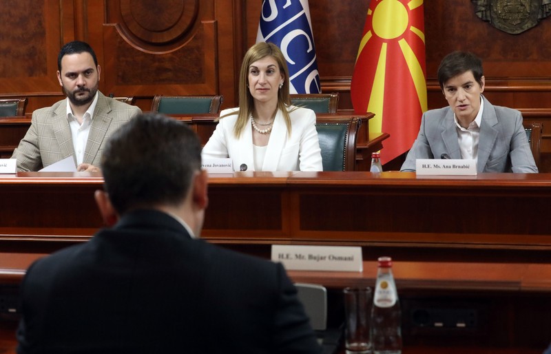 Very good cooperation between government, state institutions with OSCE Mission