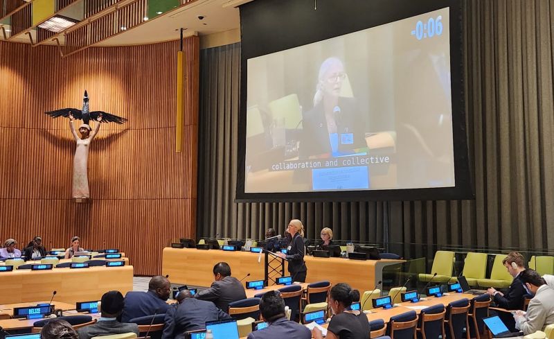 At Serbia’s initiative, UN General Assembly adopts Resolution on International Decade of Science for Sustainable Development