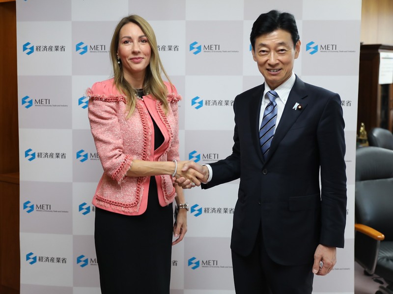 Cooperation with Japan in field of energy, energy transition