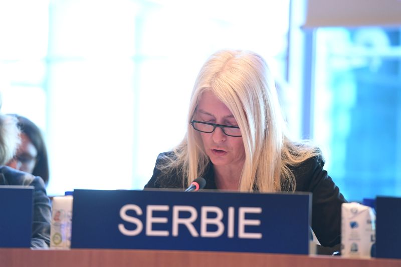 Serbia supports basic principles of UNESCO