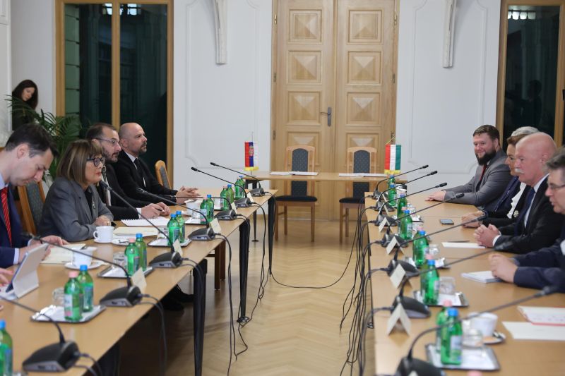 Improving cooperation between Serbia, Hungary in field of culture