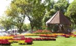 Palić