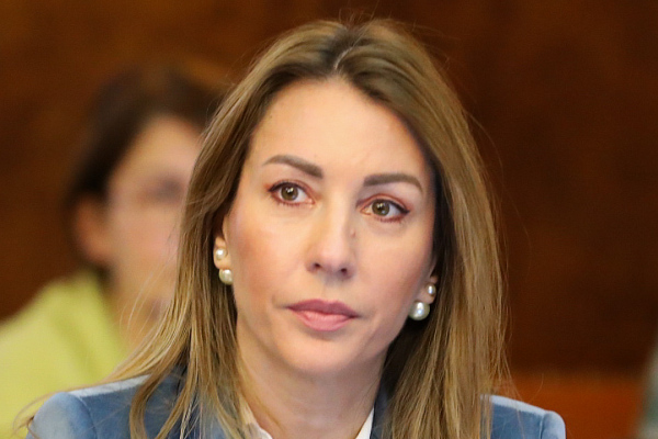 Government requests further postponement of sanctions against NIS