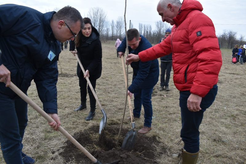 Neprocenjiv značaj pošumljavanja za očuvanje životne sredine