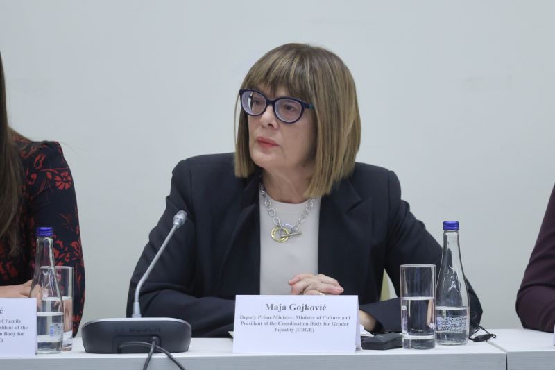 Синергијски приступ решавању проблема родно заснованог насиља