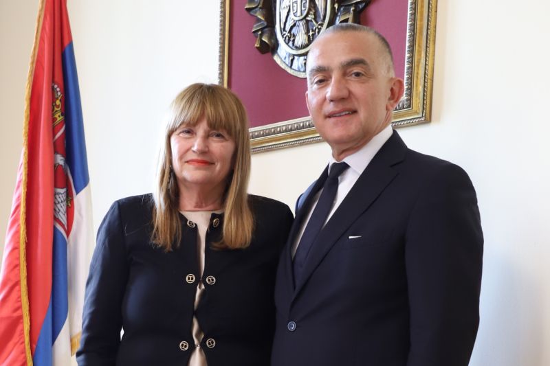 Вујић разговарао са председницом Уставног суда