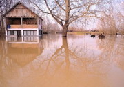 Специјални тимови за спасавање у случају поплава у стању приправности