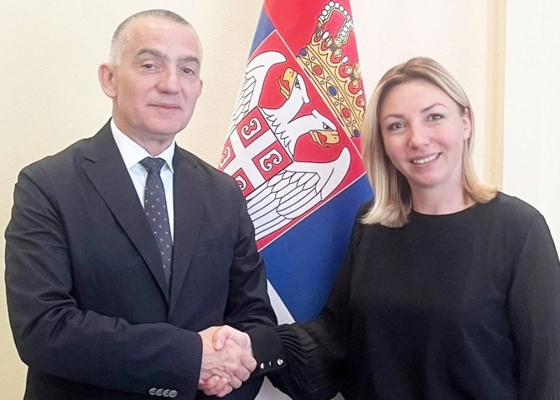 Мултисекторским приступом до смањења насиља у друштву