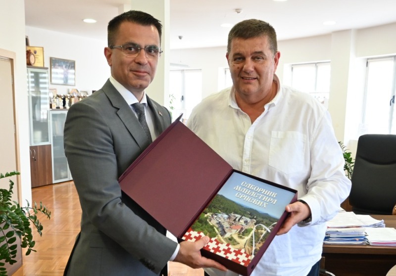 Снажан потенцијал српске дијаспоре за даљи развој наше земље