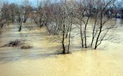 На више места у Србији излиле се реке због отапања снега