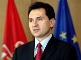 Србија координатор у три домена Дунавске стратегије