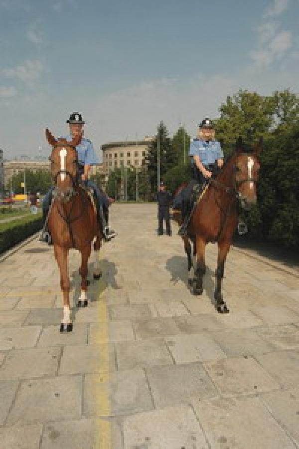 Помоћ српској полицији у успостављању стандарда ЕУ